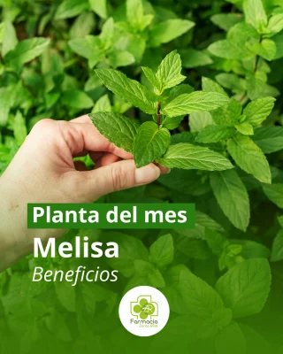 Instagram post from farmaciazarcorios. This post is in position 2.